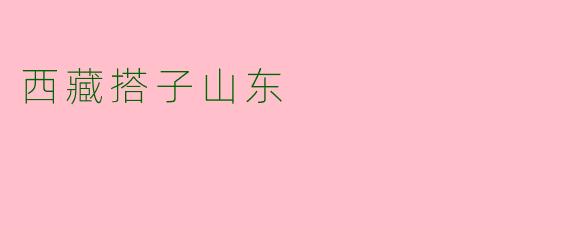 西藏搭子山东