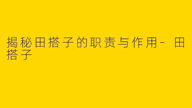 揭秘田搭子的职责与作用