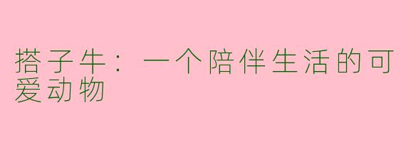 搭子牛：一个陪伴生活的可爱动物