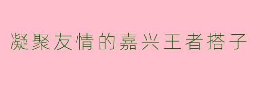 凝聚友情的嘉兴王者搭子