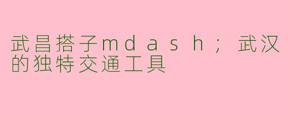 武昌搭子mdash;武汉的独特交通工具