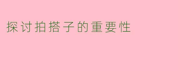 探讨拍搭子的重要性