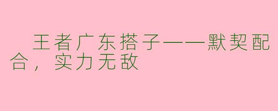  王者广东搭子——默契配合，实力无敌