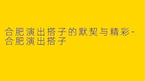 合肥演出搭子的默契与精彩-合肥演出搭子