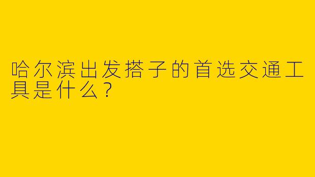 哈尔滨出发搭子的首选交通工具是什么?