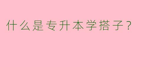 什么是专升本学搭子?