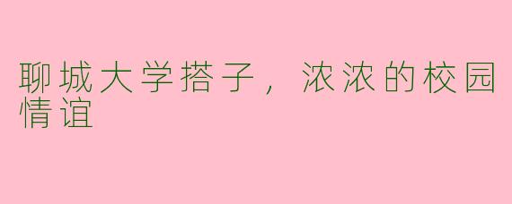 聊城大学搭子，浓浓的校园情谊