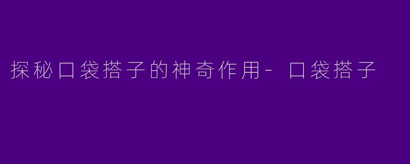 探秘口袋搭子的神奇作用-口袋搭子