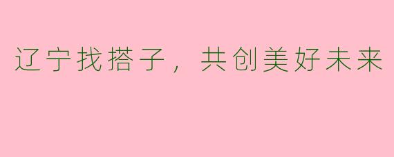 辽宁找搭子，共创美好未来