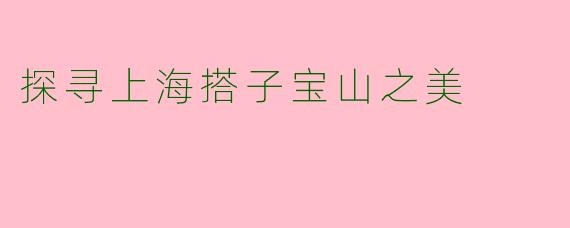探寻上海搭子宝山之美