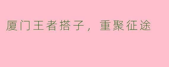 厦门王者搭子，重聚征途