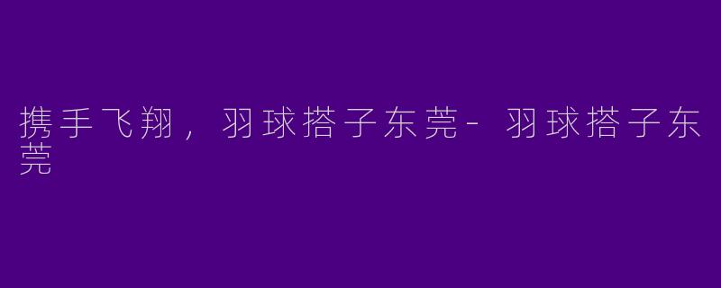 携手飞翔，羽球搭子东莞-羽球搭子东莞