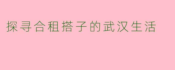 探寻合租搭子的武汉生活