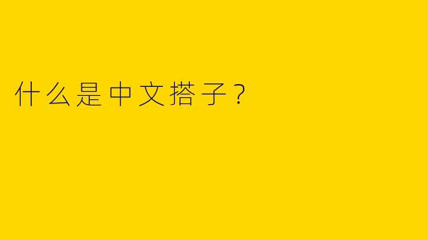 什么是中文搭子？