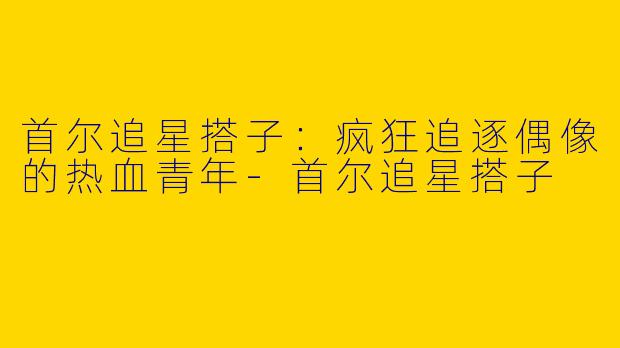 首尔追星搭子：疯狂追逐偶像的热血青年-首尔追星搭子
