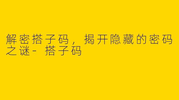 解密搭子码，揭开隐藏的密码之谜-搭子码