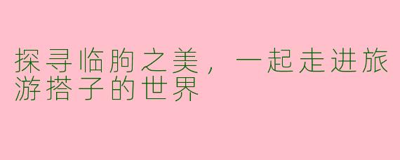 探寻临朐之美，一起走进旅游搭子的世界