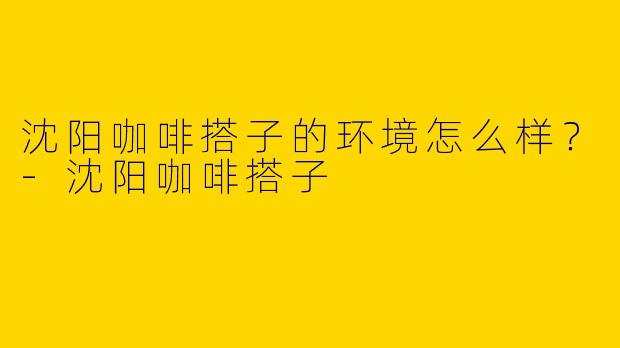 沈阳咖啡搭子的环境怎么样?