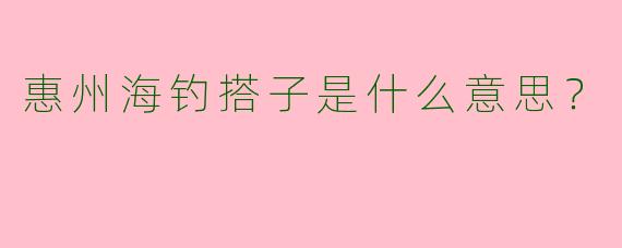 惠州海钓搭子是什么意思？