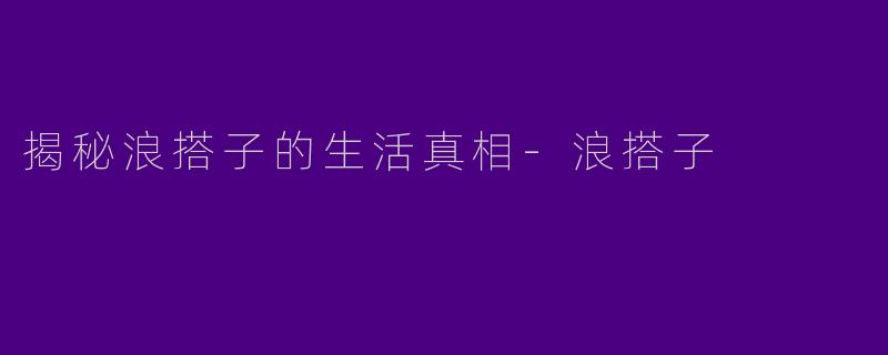 揭秘浪搭子的生活真相