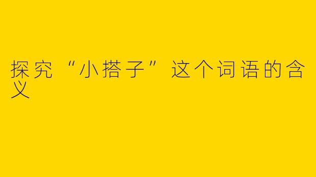 探究“小搭子”这个词语的含义