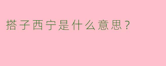 搭子西宁是什么意思？