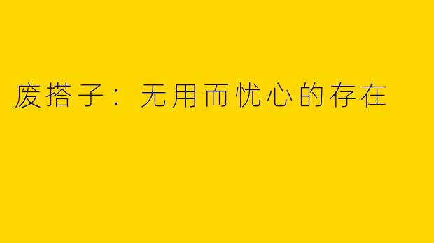 废搭子：无用而忧心的存在