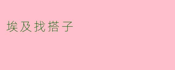 埃及找搭子