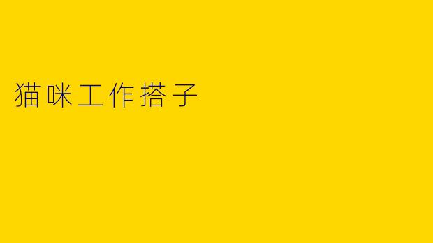 猫咪工作搭子