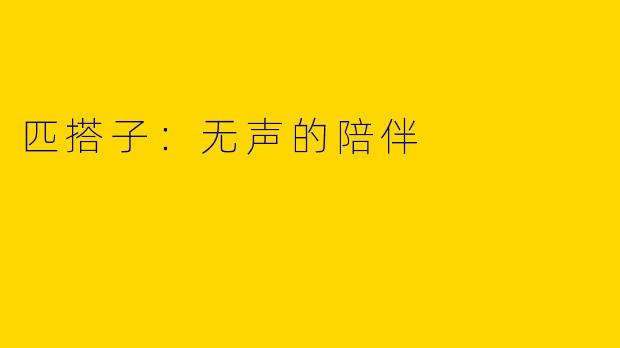匹搭子：无声的陪伴