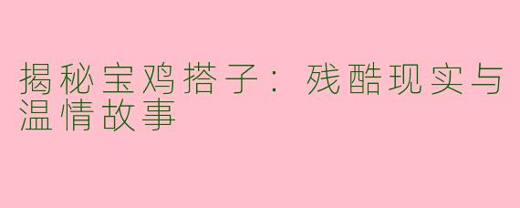 揭秘宝鸡搭子：残酷现实与温情故事
