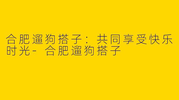 合肥遛狗搭子：共同享受快乐时光-合肥遛狗搭子