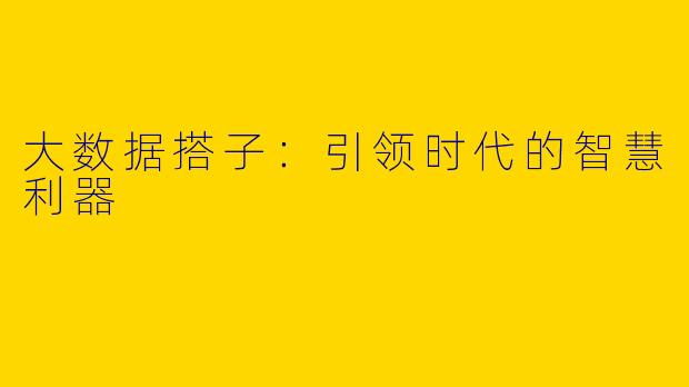 大数据搭子：引领时代的智慧利器