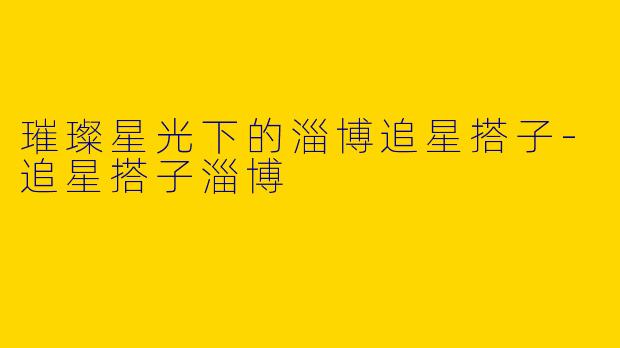 璀璨星光下的淄博追星搭子