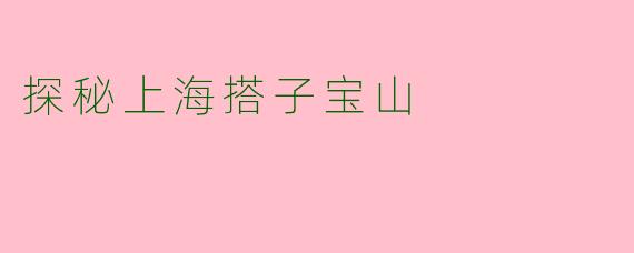 探秘上海搭子宝山