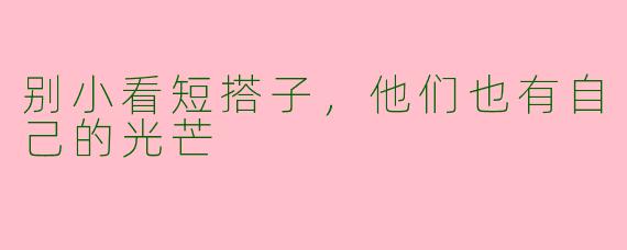 别小看短搭子，他们也有自己的光芒