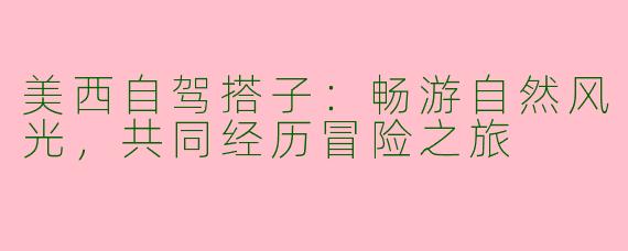美西自驾搭子：畅游自然风光，共同经历冒险之旅