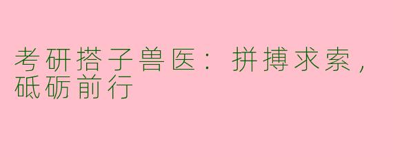 考研搭子兽医：拼搏求索，砥砺前行