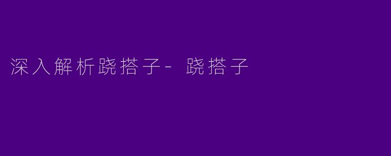 深入解析跷搭子