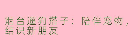烟台遛狗搭子：陪伴宠物，结识新朋友