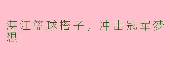 湛江篮球搭子,冲击冠军梦想