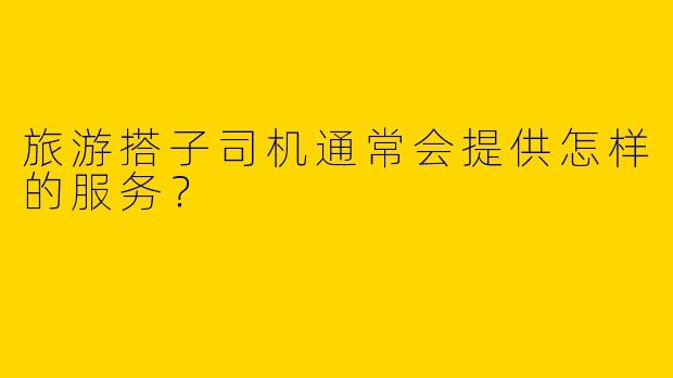 旅游搭子司机通常会提供怎样的服务?