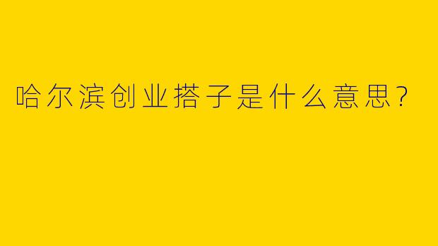 哈尔滨创业搭子是什么意思?