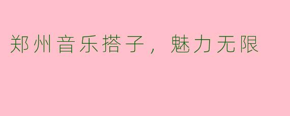 郑州音乐搭子，魅力无限