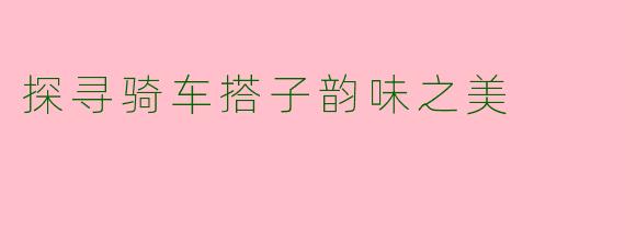 探寻骑车搭子韵味之美