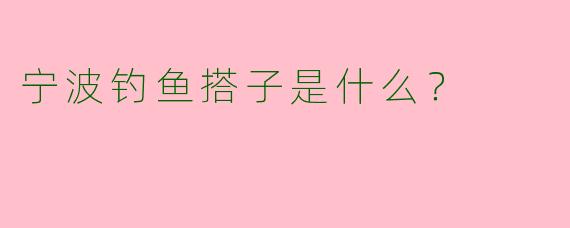 宁波钓鱼搭子是什么?