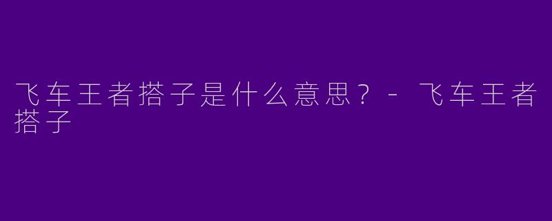 飞车王者搭子是什么意思?