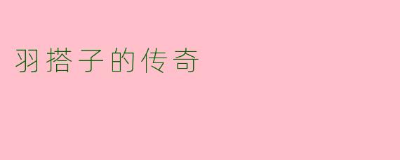 羽搭子的传奇