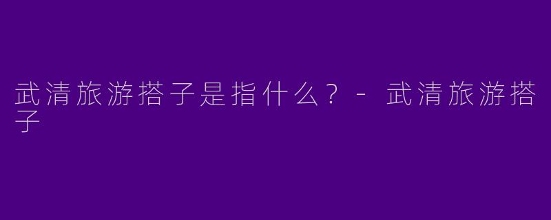 武清旅游搭子是指什么?