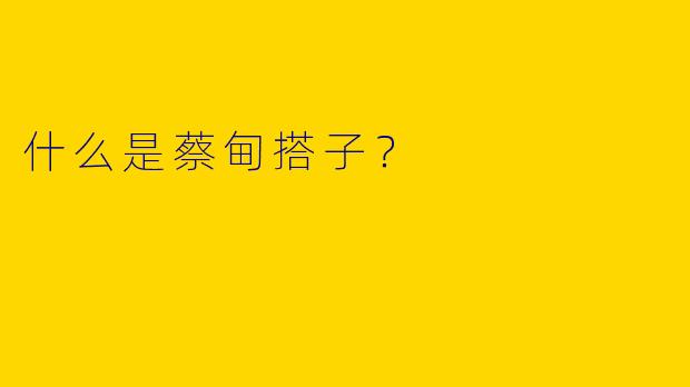 什么是蔡甸搭子?